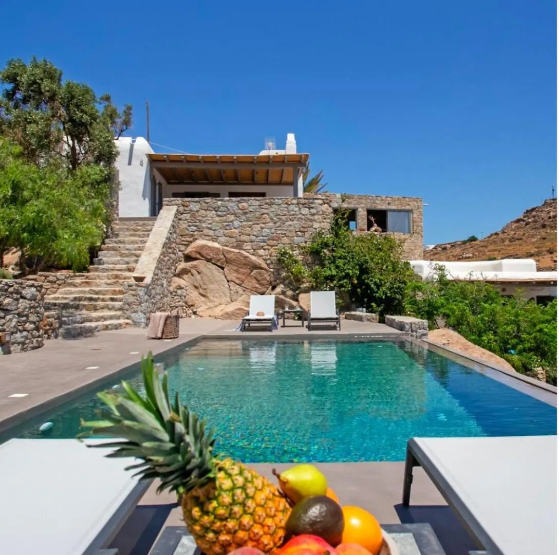 Private Villa Verdigris With Infinity Sea Views Mykonos Town